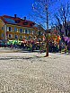 Niederdorf - Osterbaum-Aktion 2017