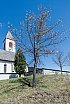 Vierschach - Osterbaum-Aktion 2017