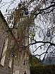 Wiesen Pfitsch - Osterbaum-Aktion 2017