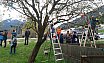 St. Johann im Ahrntal - Osterbaum-Aktion 2017