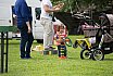 Familienfest 2016 "Familie feiert Familie"