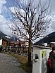 Osterbaum St. Johann im Ahrntal - Osterbaum-Aktion 2018