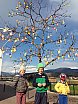 Vahrn - Osterbaum-Aktion