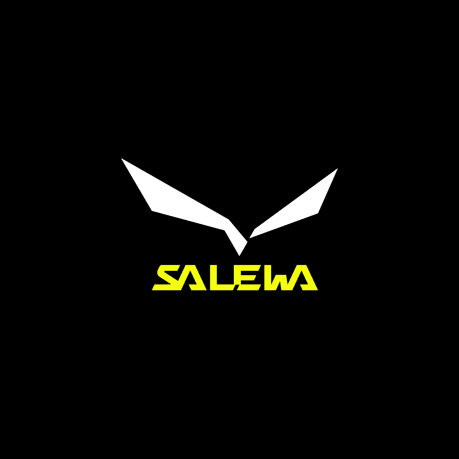 SALEWA patched squared CMYK 300dpi logo