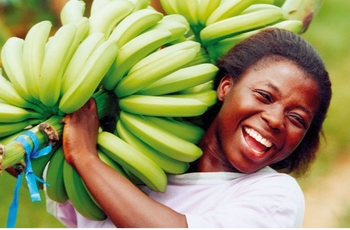 Hello Yellow! Die faire Banane im Rampenlicht! Hello Yellow! Die faire Banane im Rampenlicht!