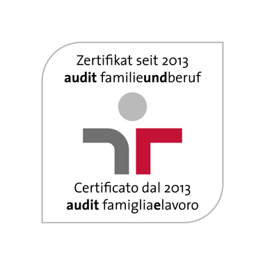 Audit logo zert dt it 13
