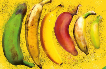 Hello Yellow! Die faire Banane im Rampenlicht!